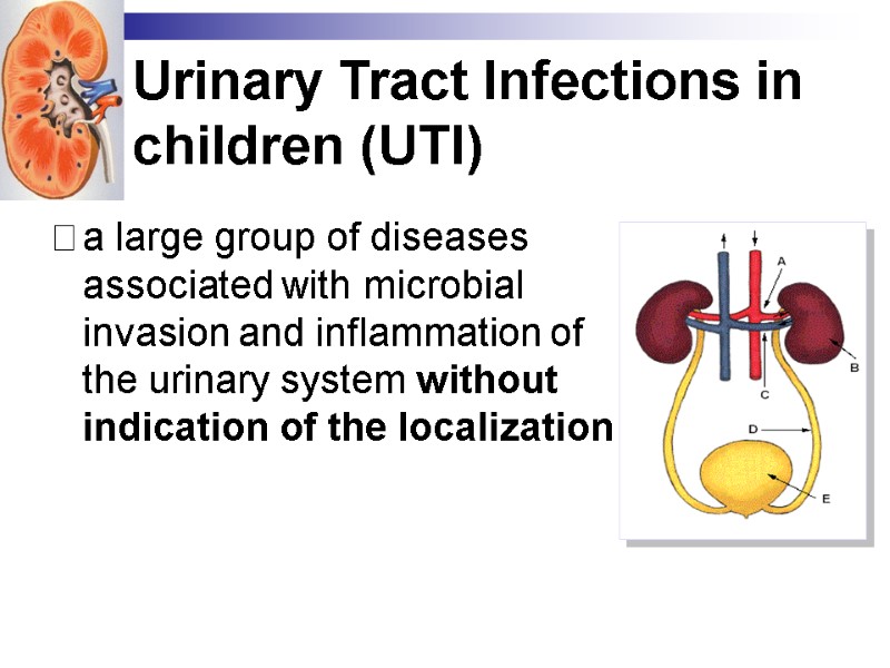 Urinary Tract Infections in children (UTI) a large group of diseases associated with microbial